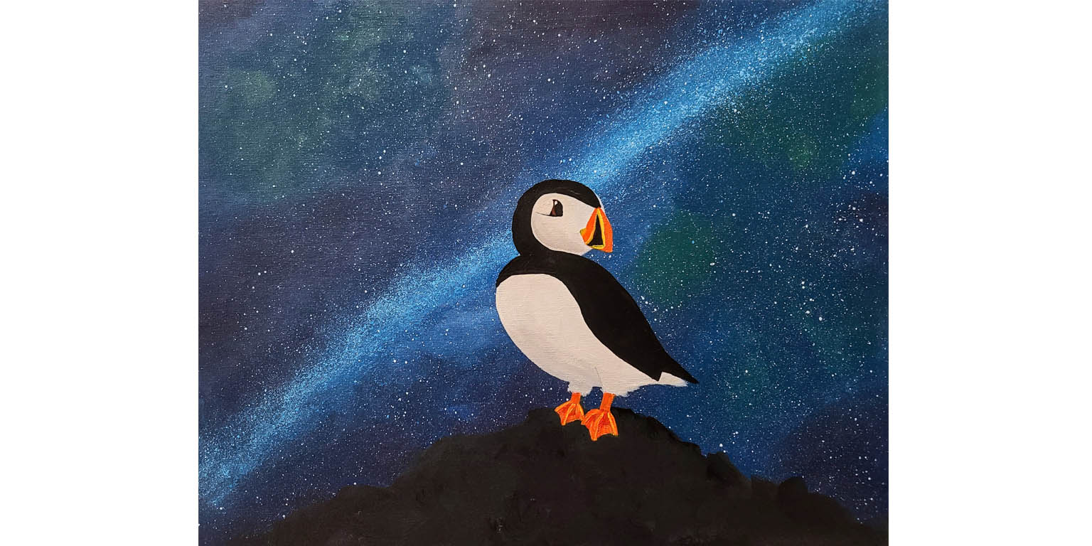 puffin