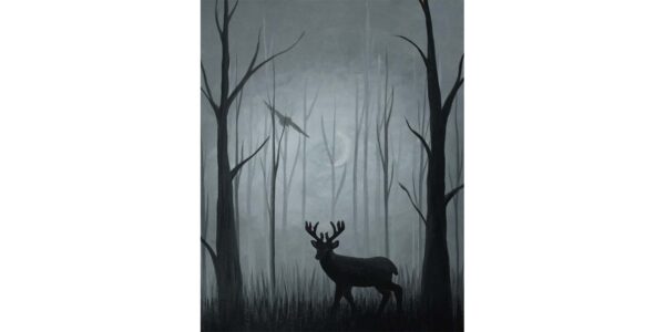 Deer in the Woods