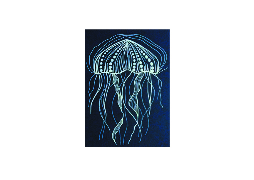 Jellyfish Design - Shop