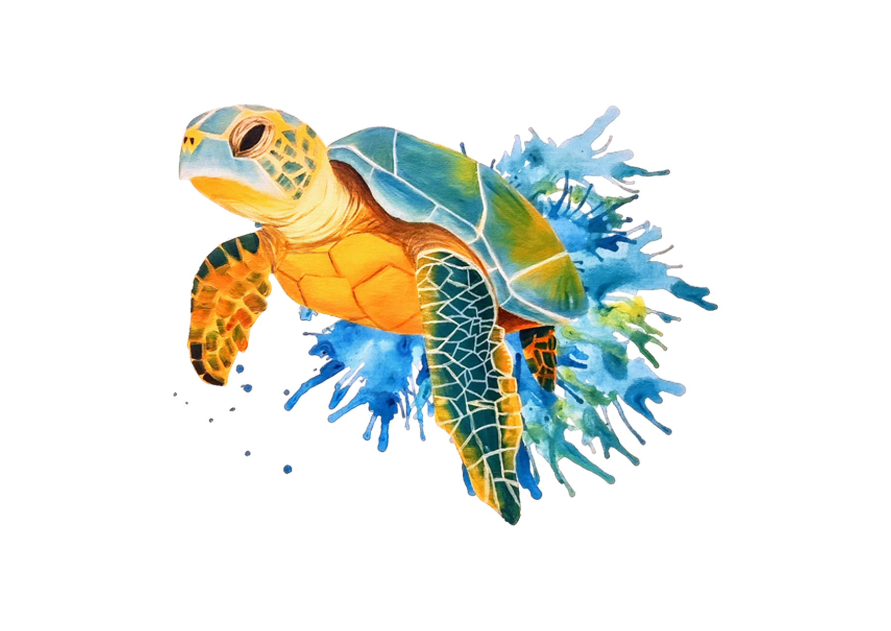 Sea Turtle